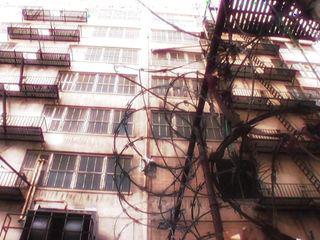 Heiße Girls lecken sich im Club die Muschis